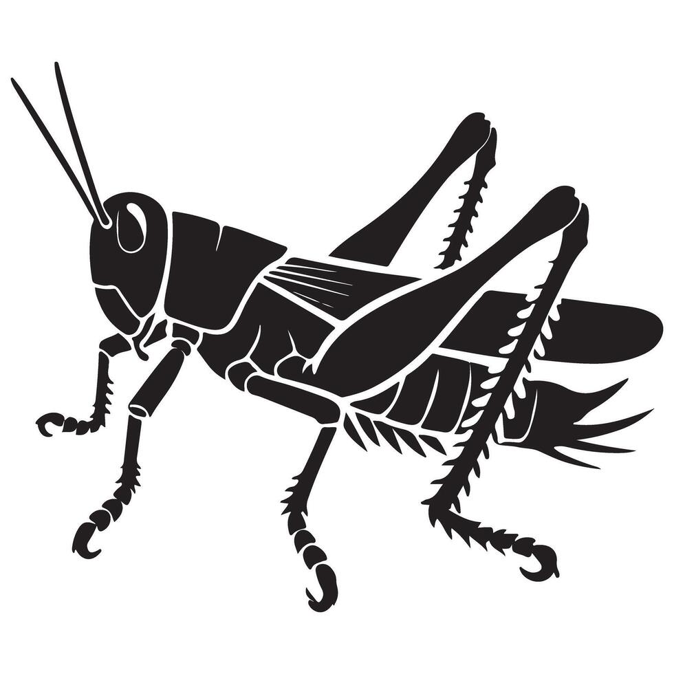 Elaborate Grasshopper Silhouette Illustration Detailed Insect Design vector