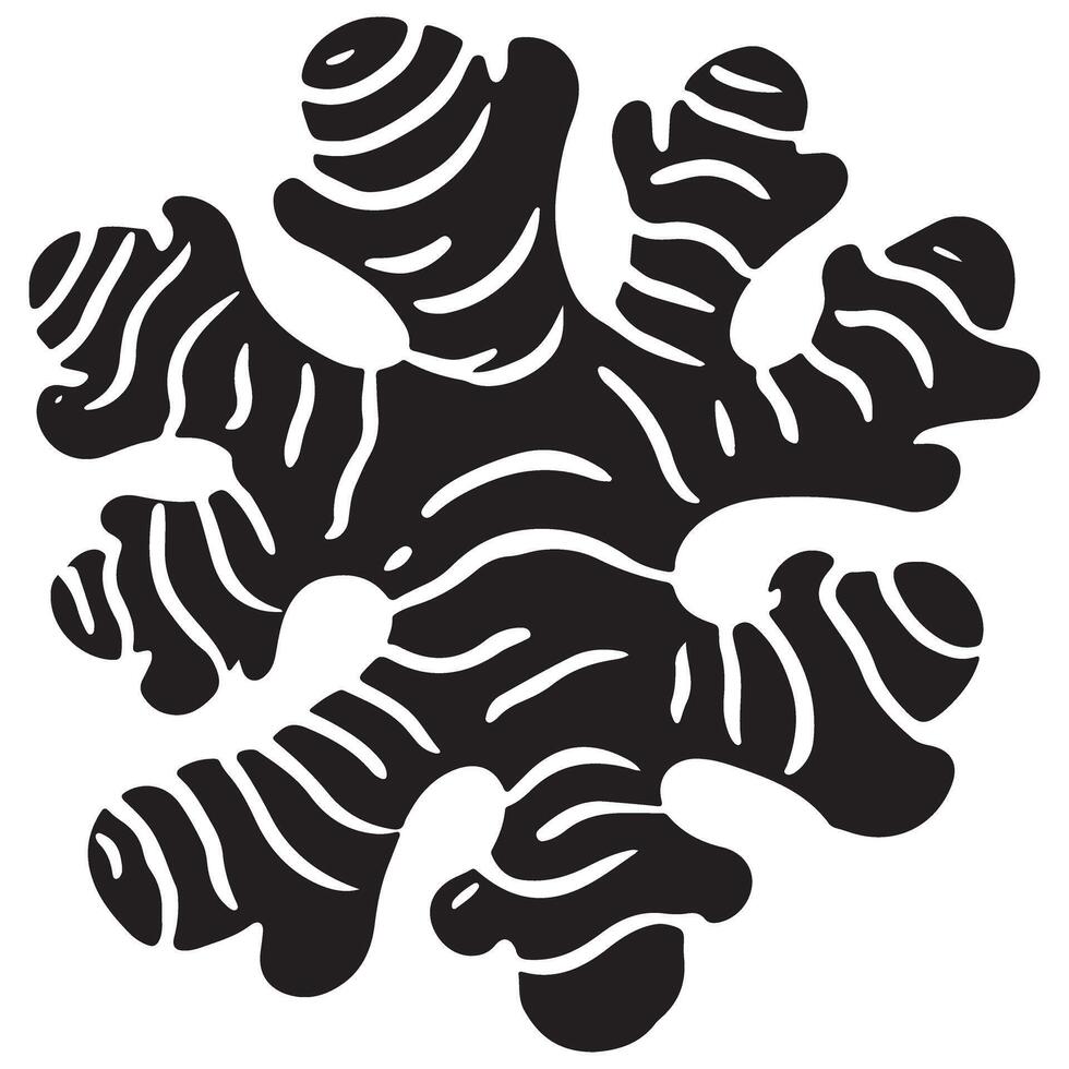 Ginger Root Illustration vector