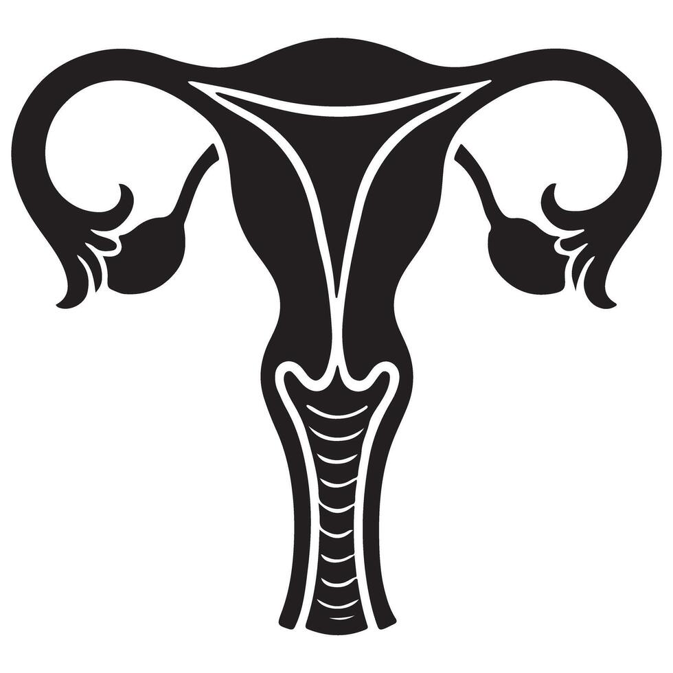 Empowering Women's Health Understanding the Female Reproductive System Anatomy vector