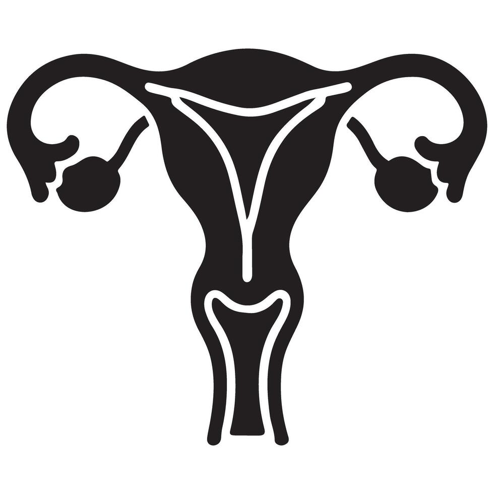 Female Reproductive System Illustration Anatomy and Biology Science vector