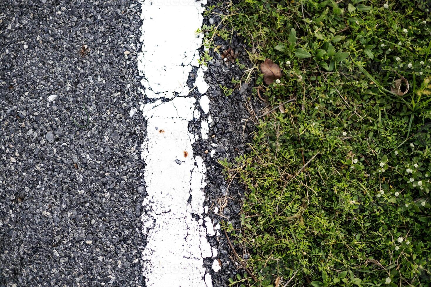Old Road With White Lines And Green Grass photo