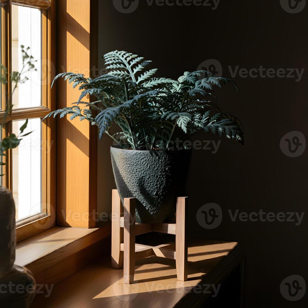 Potted fern with textured leaves in a ceramic planter on wooden window sill bathed in warm natural light photo