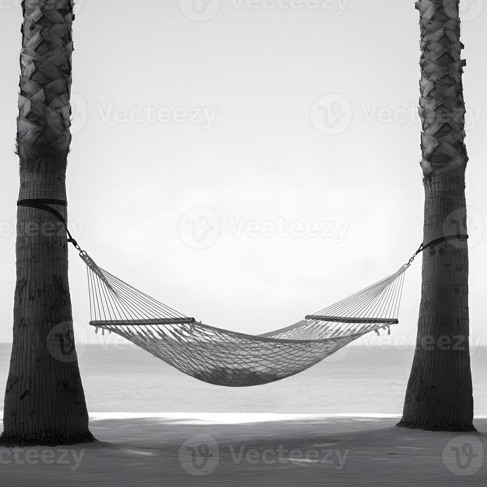 Empty woven hammock tied between two palm trees overlooking calm sea on tropical sandy beach with soft cloudy sky photo