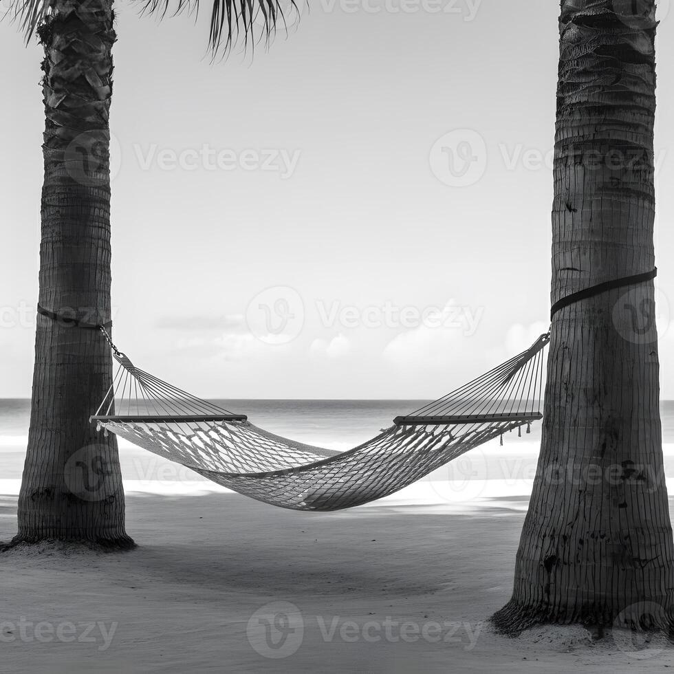 Empty woven hammock tied between two palm trees overlooking calm sea on tropical sandy beach in soft cloudy sky photo