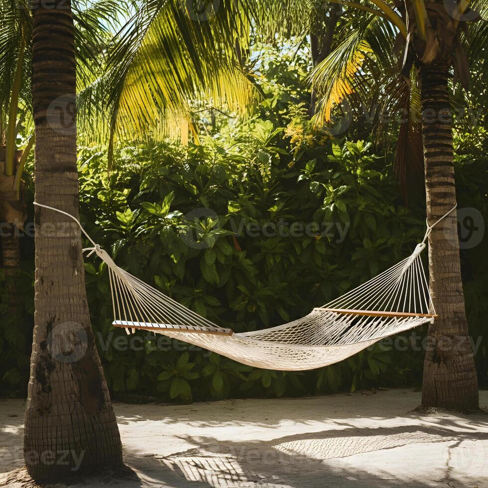 Empty woven hammock strung between palm trees on sandy ground with lush tropical foliage in sunlight photo
