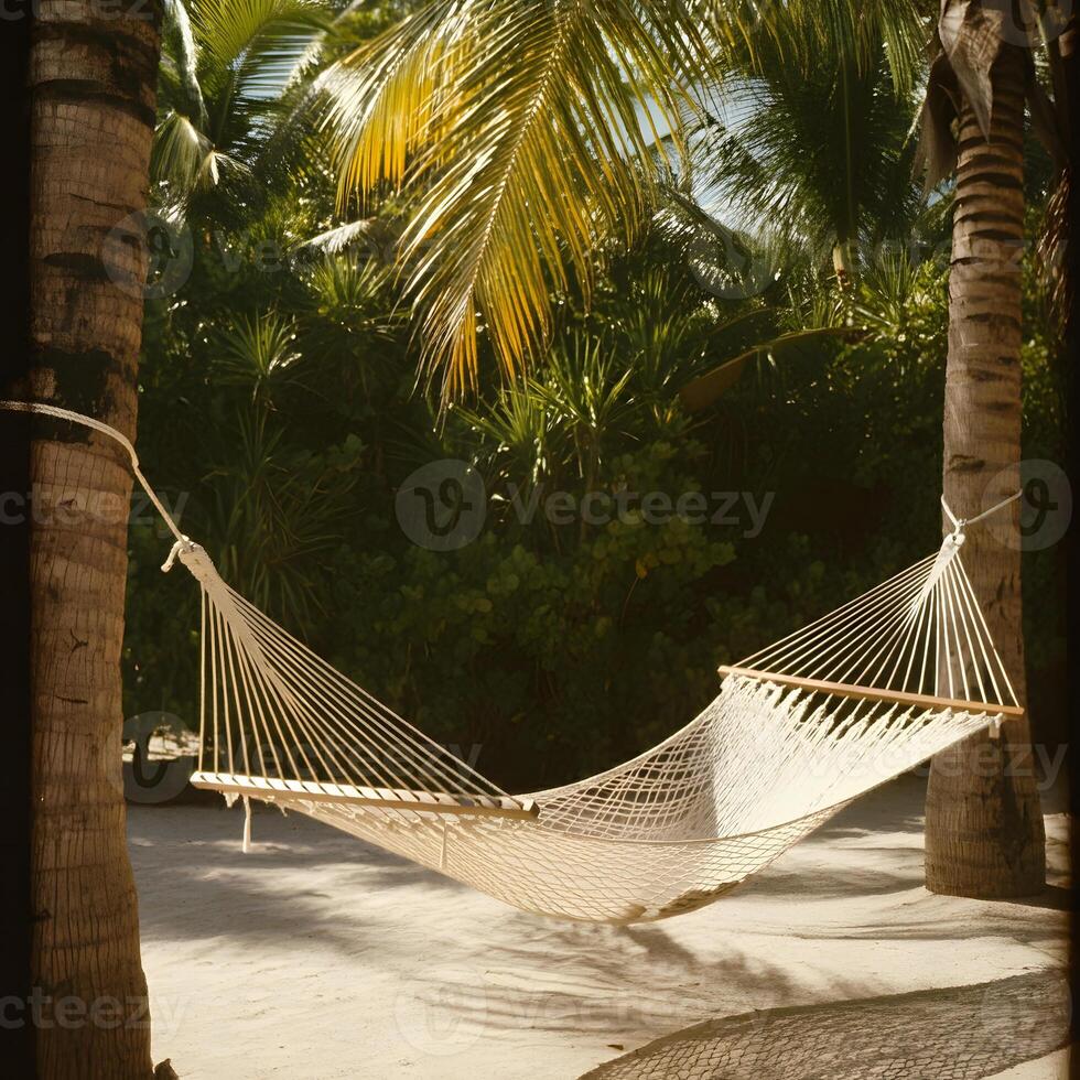 Empty woven hammock strung between palm trees on sandy ground with lush tropical foliage under warm sunlight photo