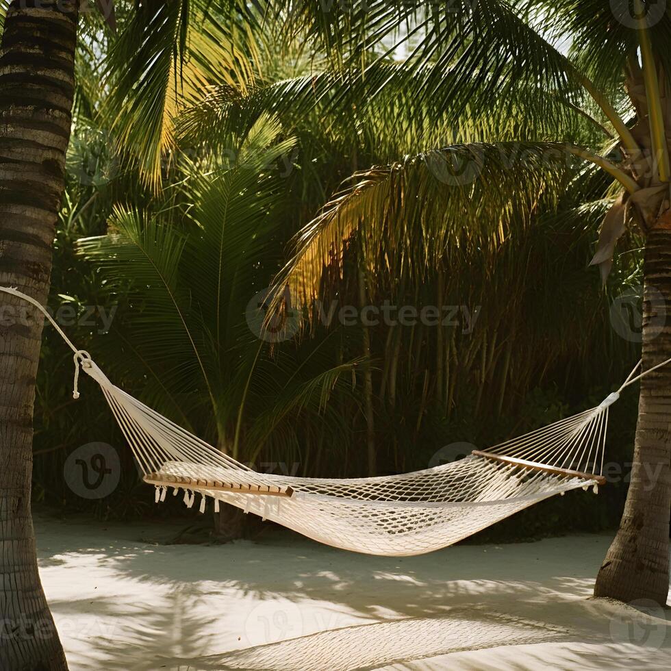 Empty woven hammock strung between palm trees on sandy ground with lush tropical foliage in warm sunlight photo
