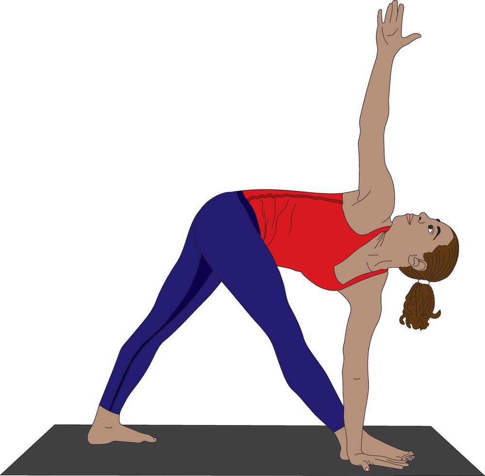 Revolved Triangle Pose Parivrtta Trikonasana Yoga vector