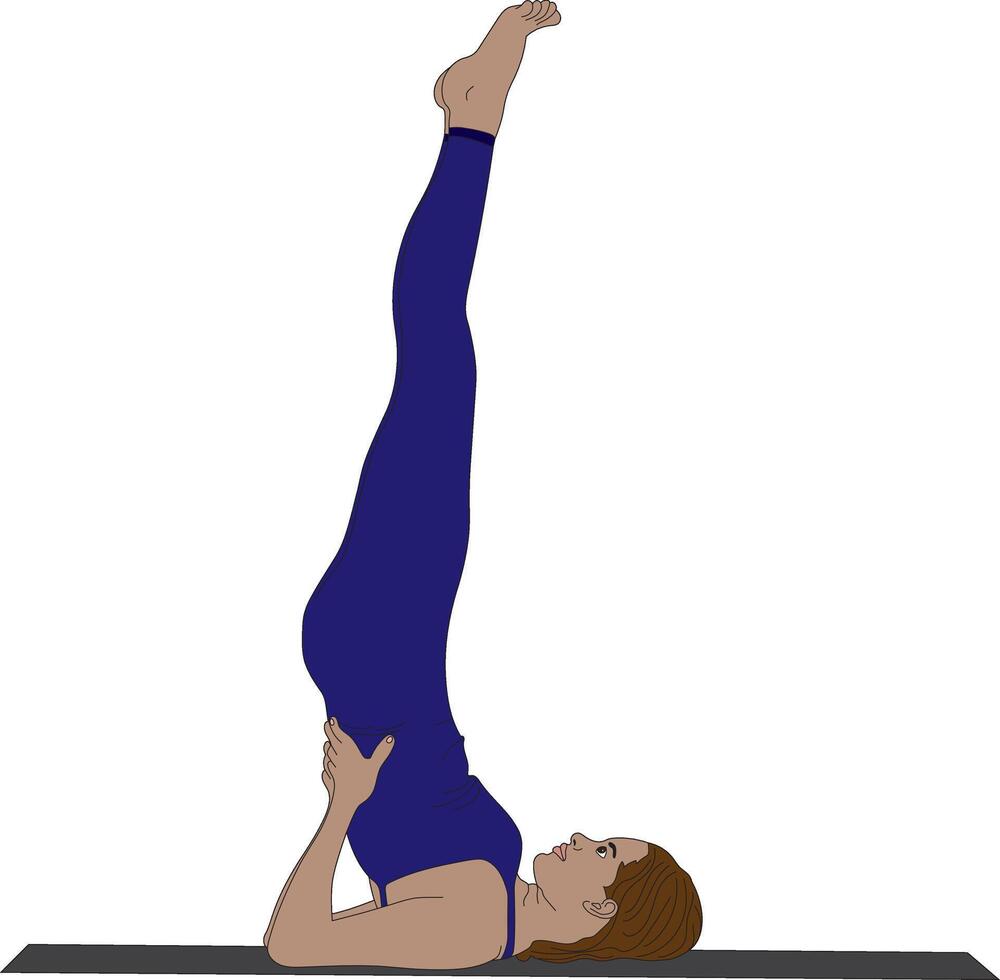 Shoulder Stand Yoga Exercise Sarvangasana vector