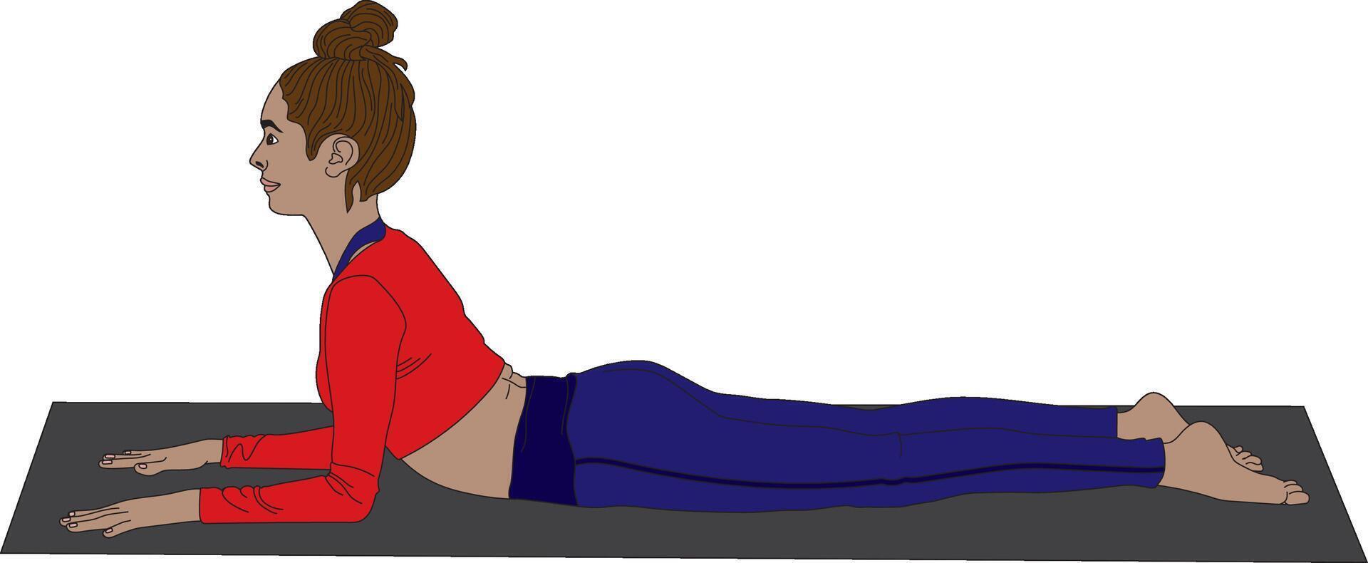 Sphinx Pose Salamba Bhujangasana Yoga vector
