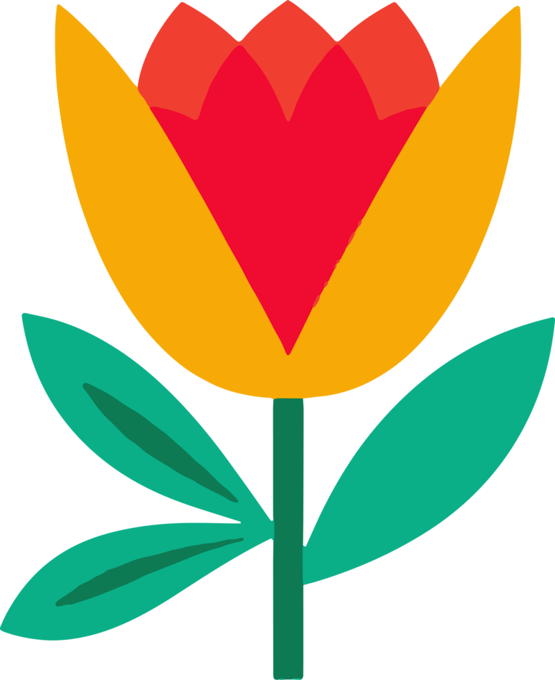 A red and yellow flower with green leaves png
