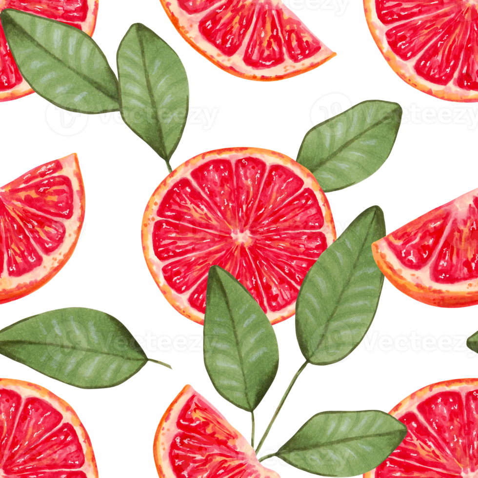 Seamless background of grapefruit slices with leaves. Watercolor illustration. Slices of red citrus fruits. Hand drawn isolated art. Wallpaper ecological product for fabric and kitchen textiles png