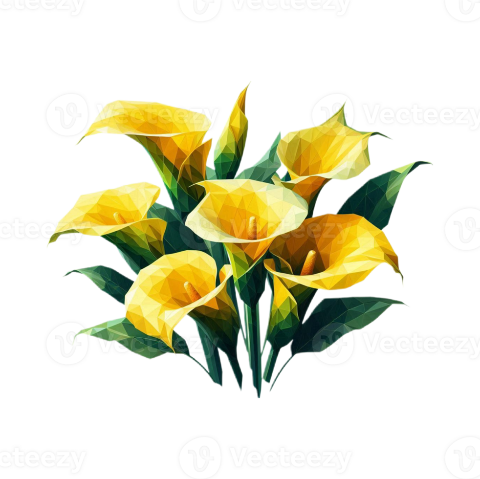 Polygonal calla lily flowers png