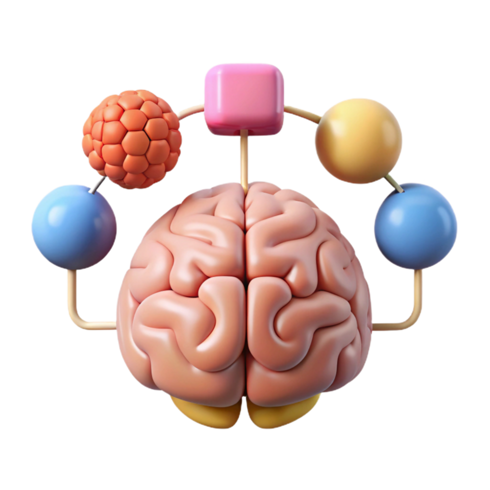 elegant minimalist Cognitive Function Diagram with Labels Cutout premium png