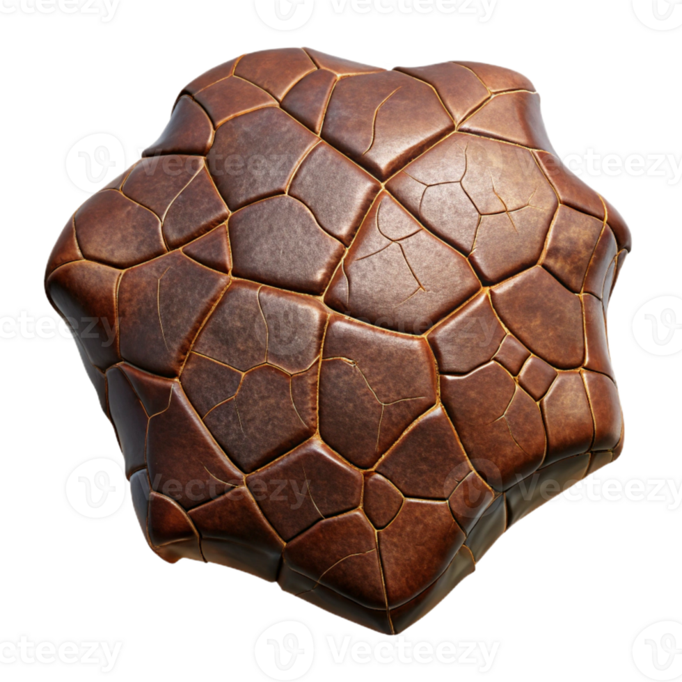 elegant classic Cracked Leather Texture Transparent Background Cutout authentic png