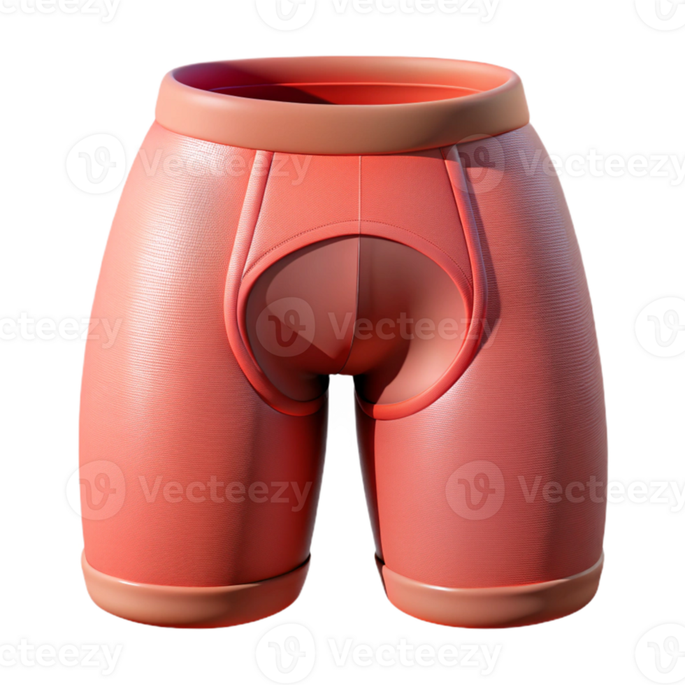 elegant contemporary Cycling Shorts Padded Close Up Cutout png