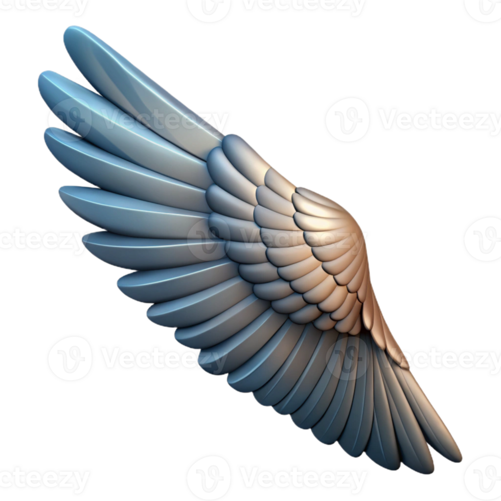 wonderful contemporary Detailed Bird Wing in Flight Transparent Background authentic png
