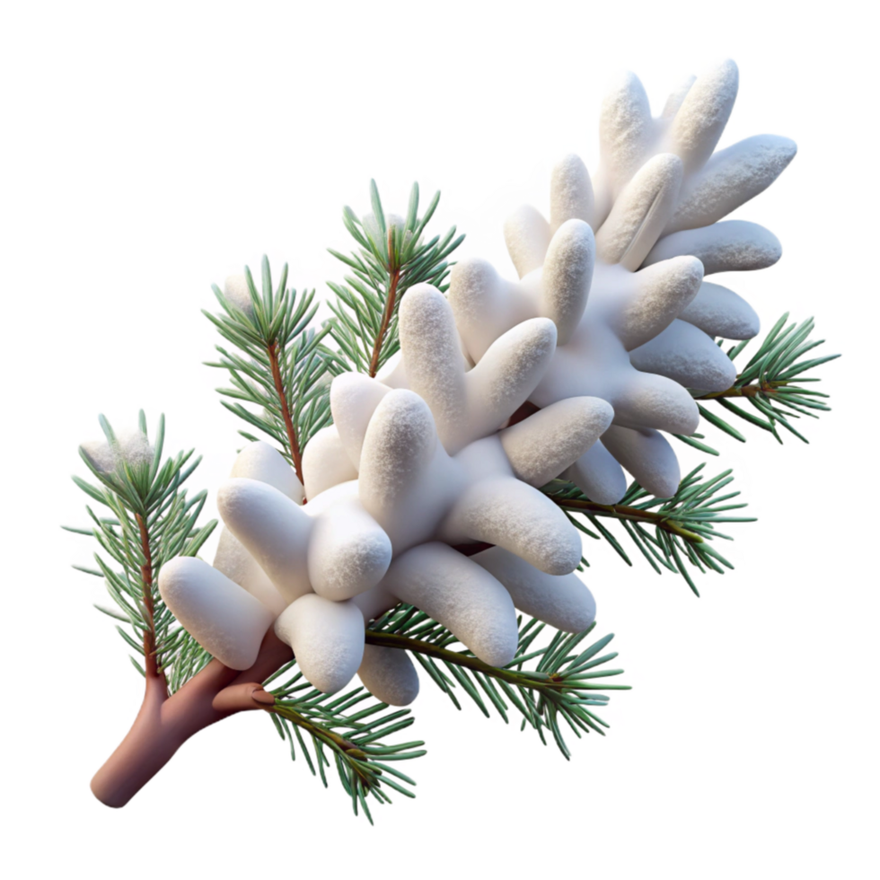 stunning artistic Snow Covered Pine Branch Cutout Element exclusive png