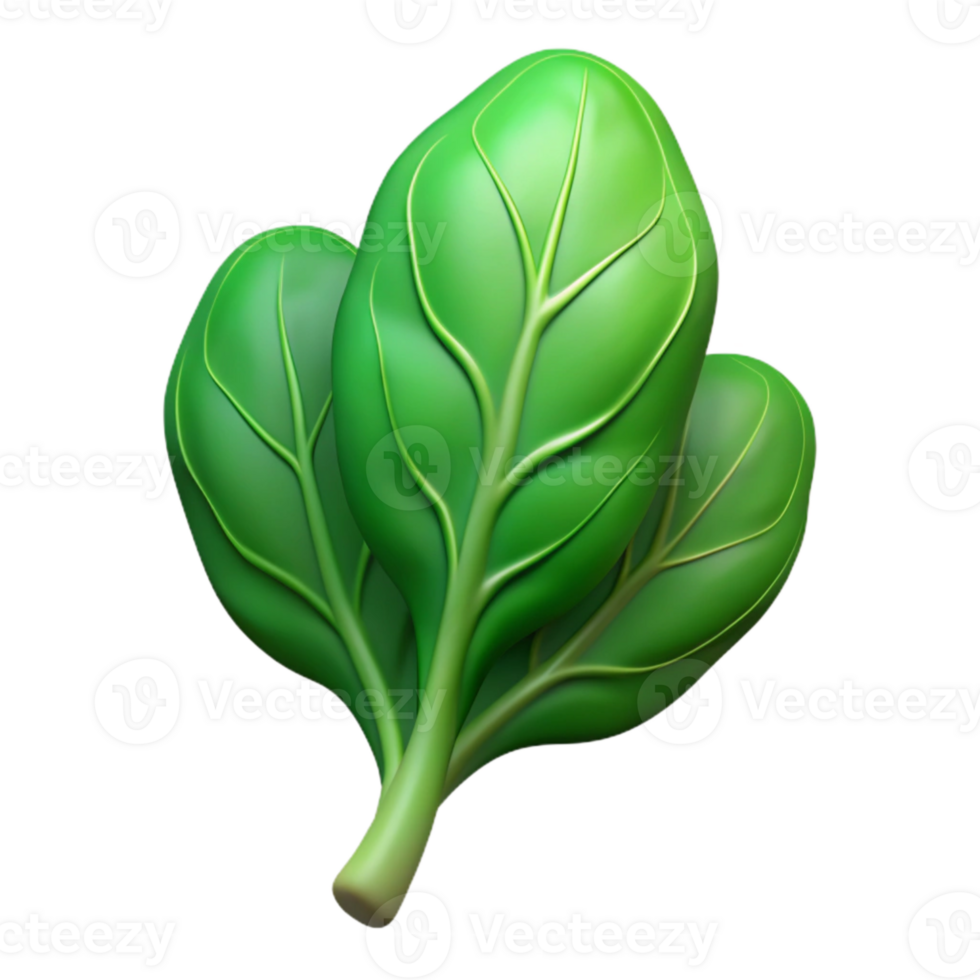 extraordinary vintage Spinach Green Leafy Isolated Cutout png