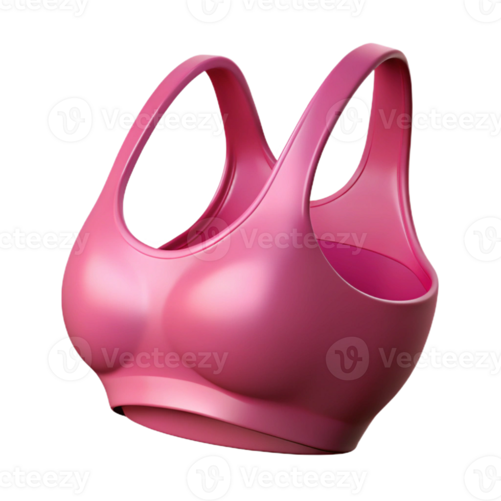 elegant contemporary Sports Bra Pink Isolated Cutout original png