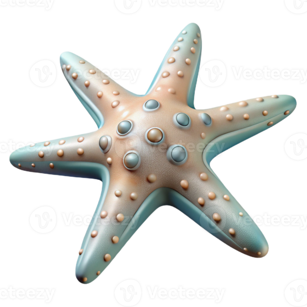 impressive minimalist Starfish Five Arms Transparent high resolution png