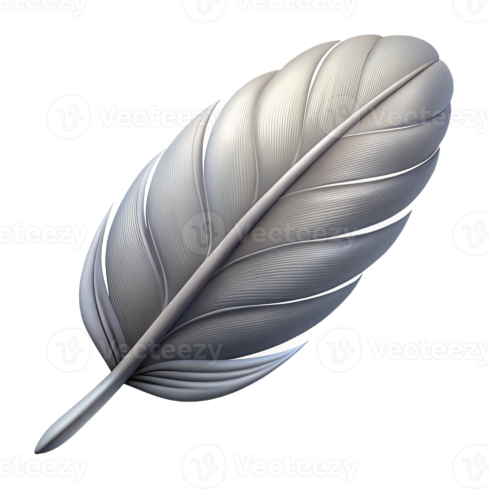 extraordinary modern Duster Feather Soft Gray Cutout high quality png