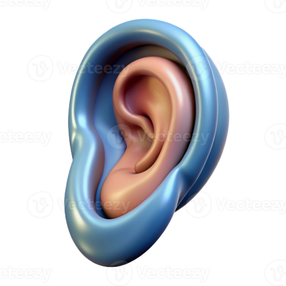 extraordinary modern Ear Diagram Isolated exclusive png