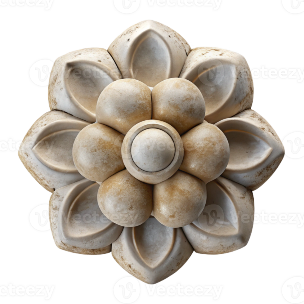 wonderful creative Egg Carton Flower Craft Top View Transparent Background high resolution png