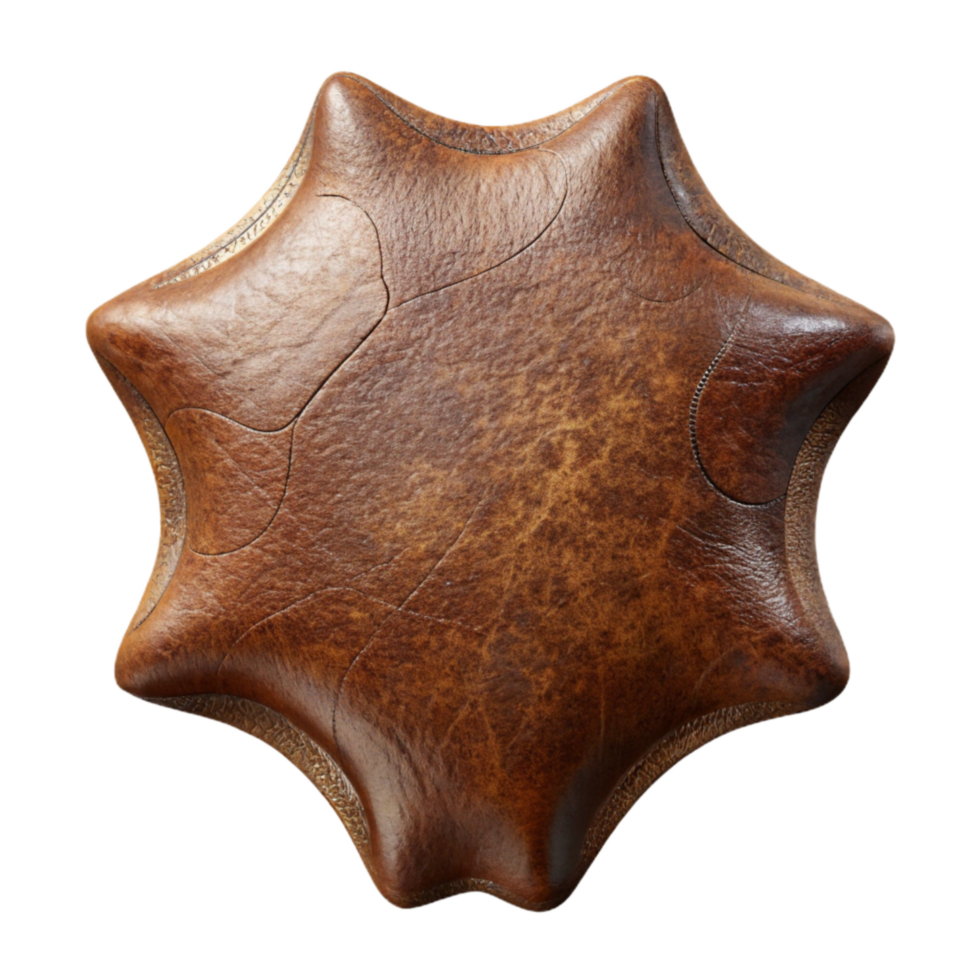 dramatic creative Vintage Brown Leather Texture Isolated Element professional png
