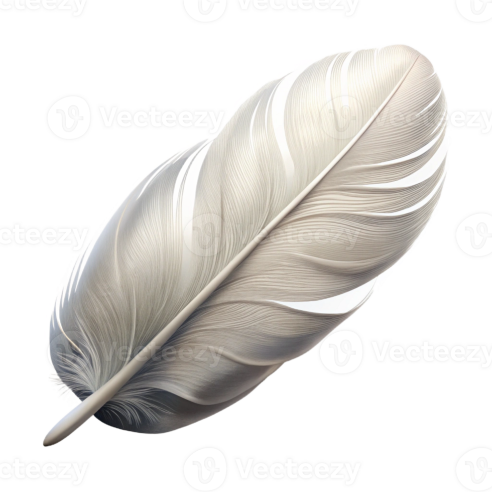 serene modern Feather Single White Downy Texture Isolated high resolution png