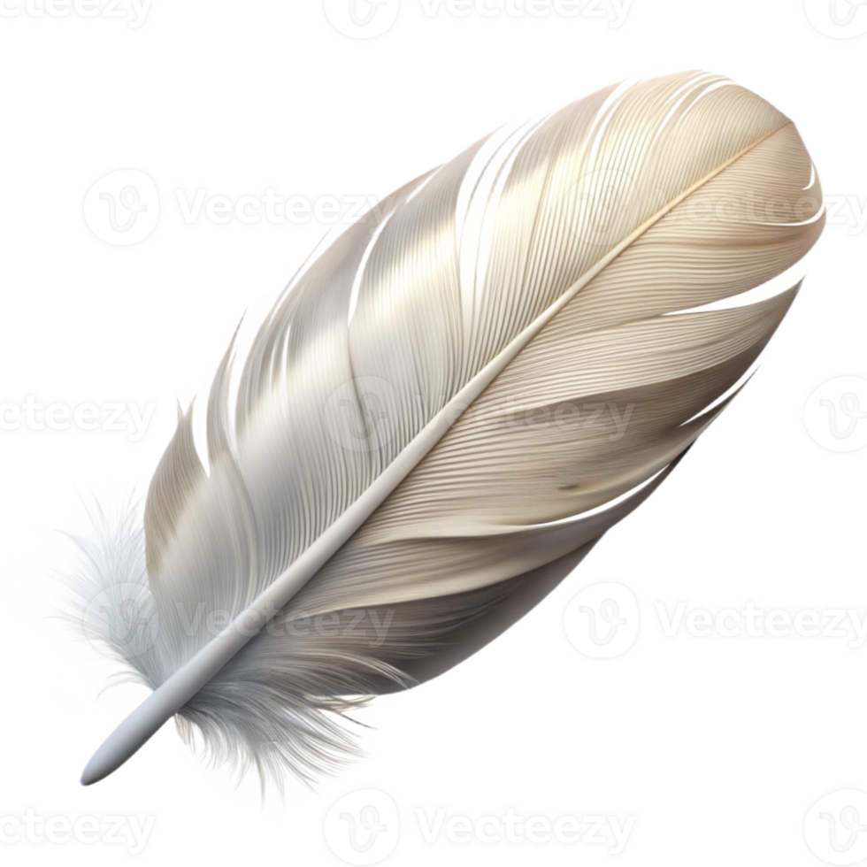 vibrant vintage Feather Single White Downy Texture Isolated png