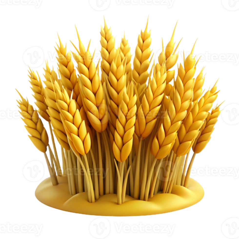 wonderful traditional Field of Wheat Golden Yellow Isolated original png