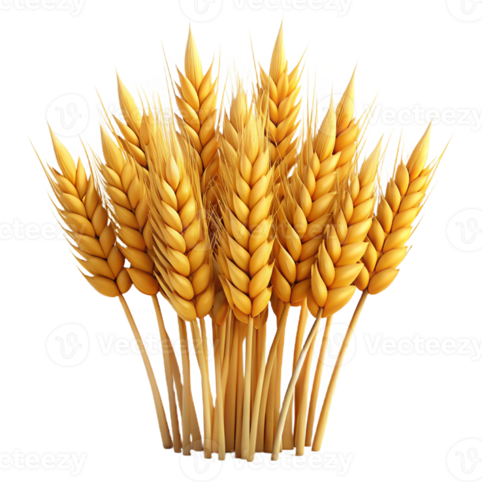 serene contemporary Field of Wheat Isolated high quality png