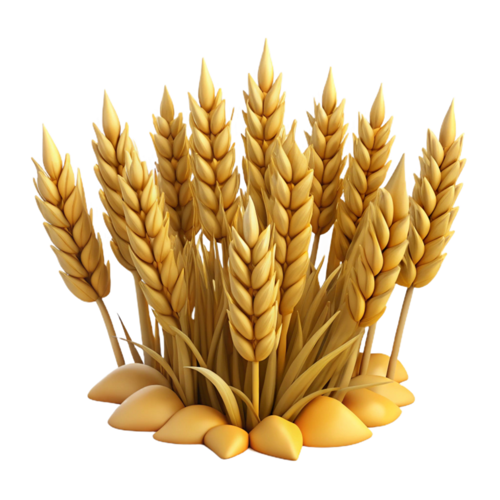 Field of Wheat Isolated png