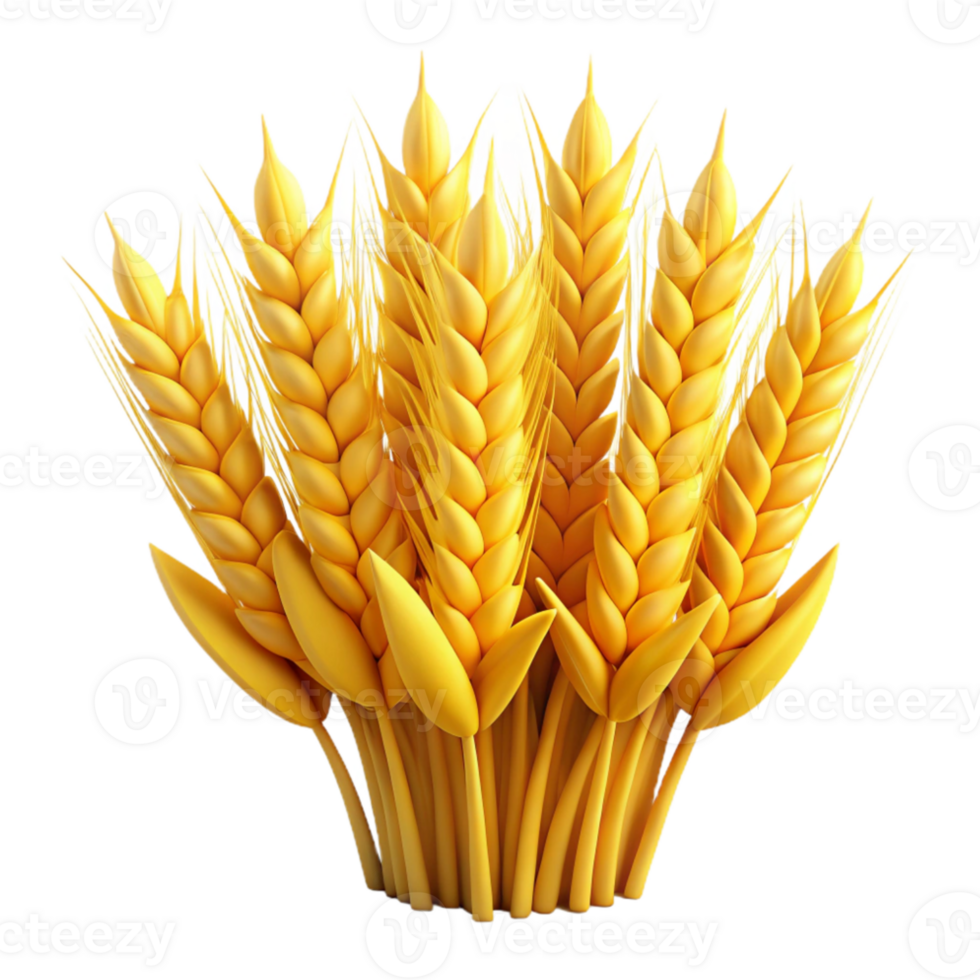 elegant rustic Field of Wheat Isolated exclusive png