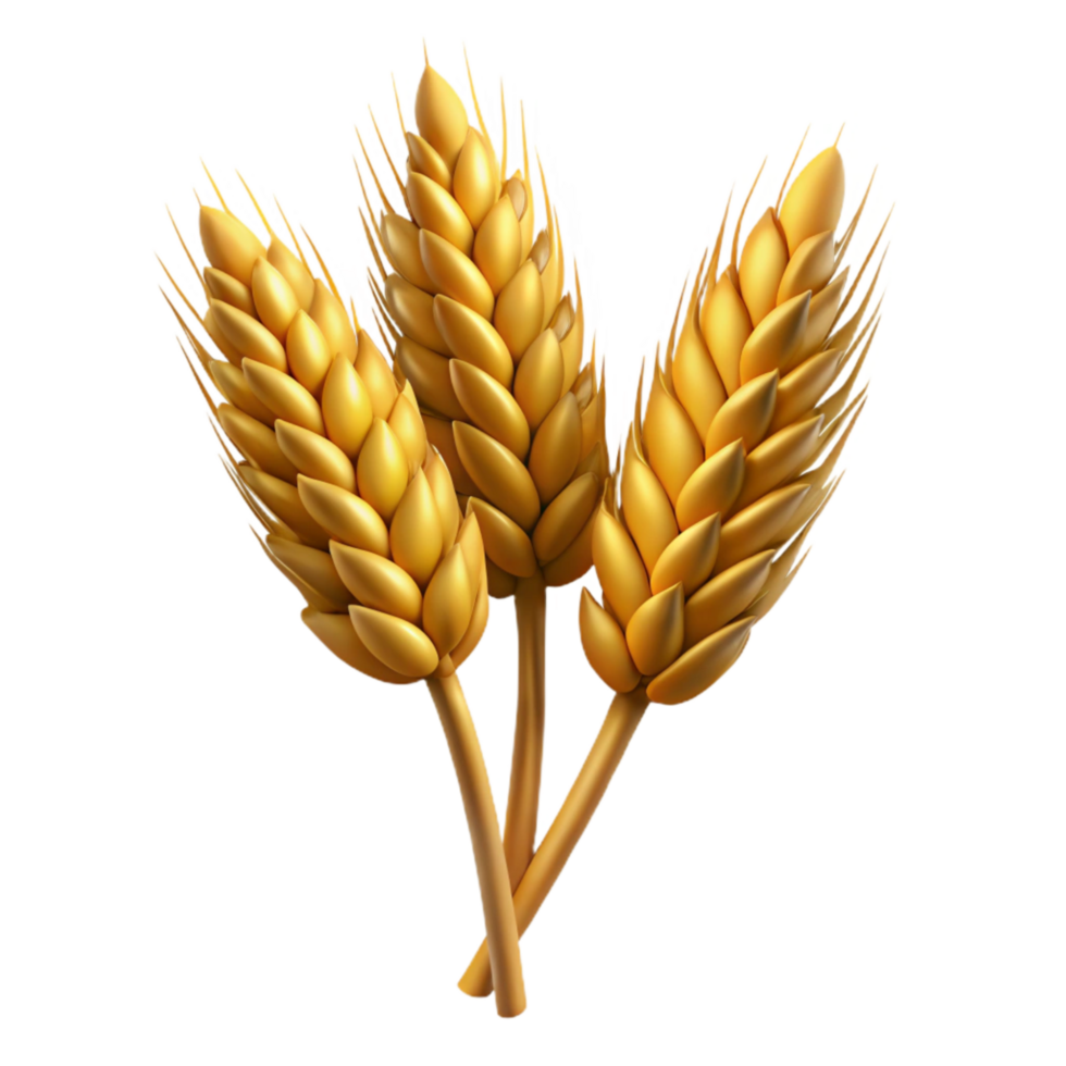 stunning artistic Wheat Stalks Golden Brown Isolated on Transparent Background original png