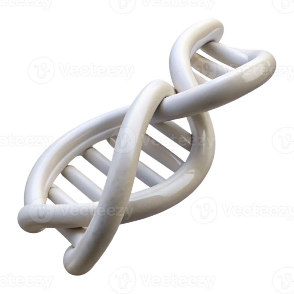 stunning classic White Dna Double Helix Structure Transparent Background detailed png