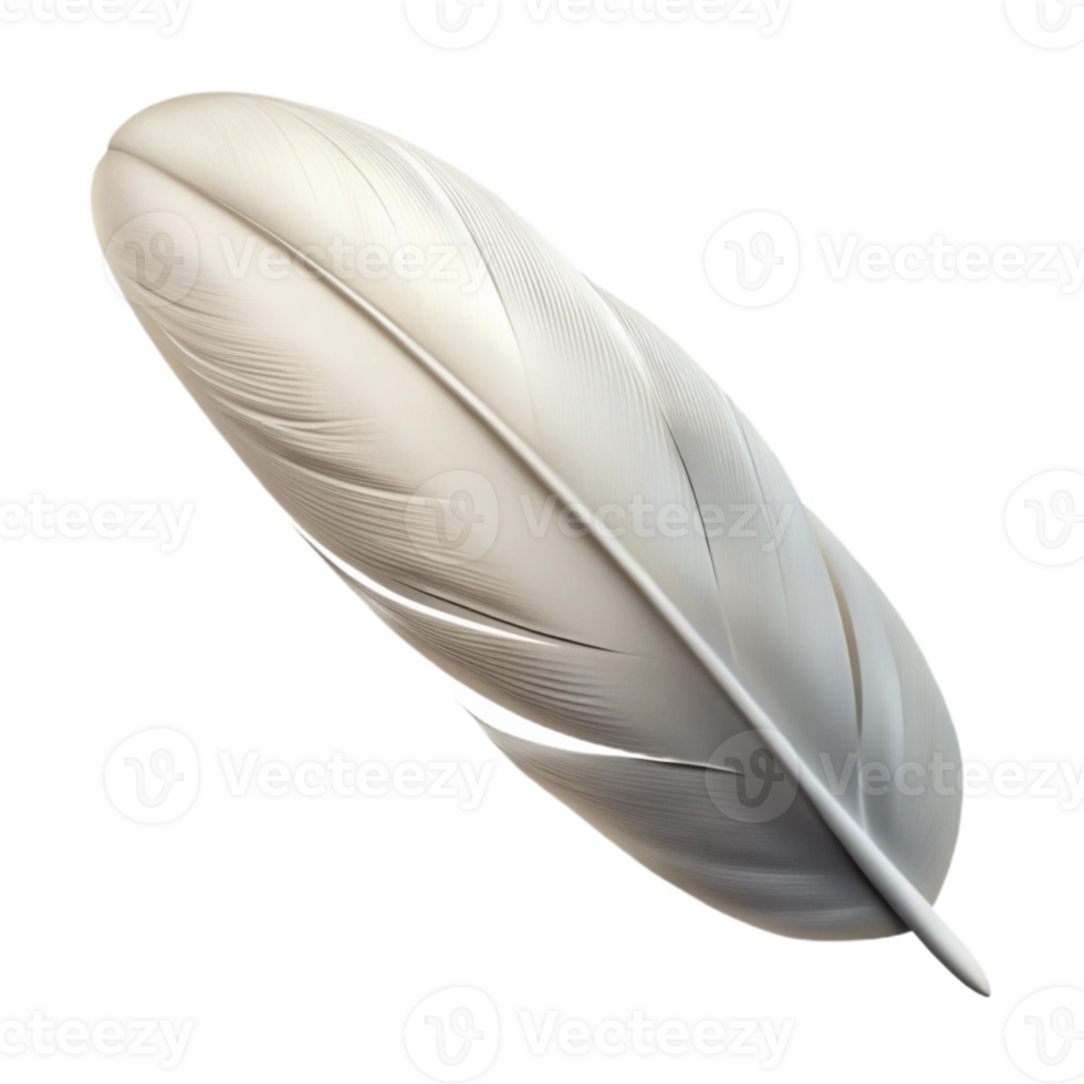 extraordinary classic White Feather Floating Gently Cutout Transparent Background high resolution png
