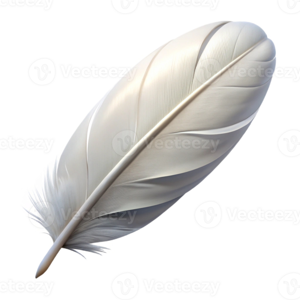 vibrant artistic White Feather Floating Cutout Isolated premium png