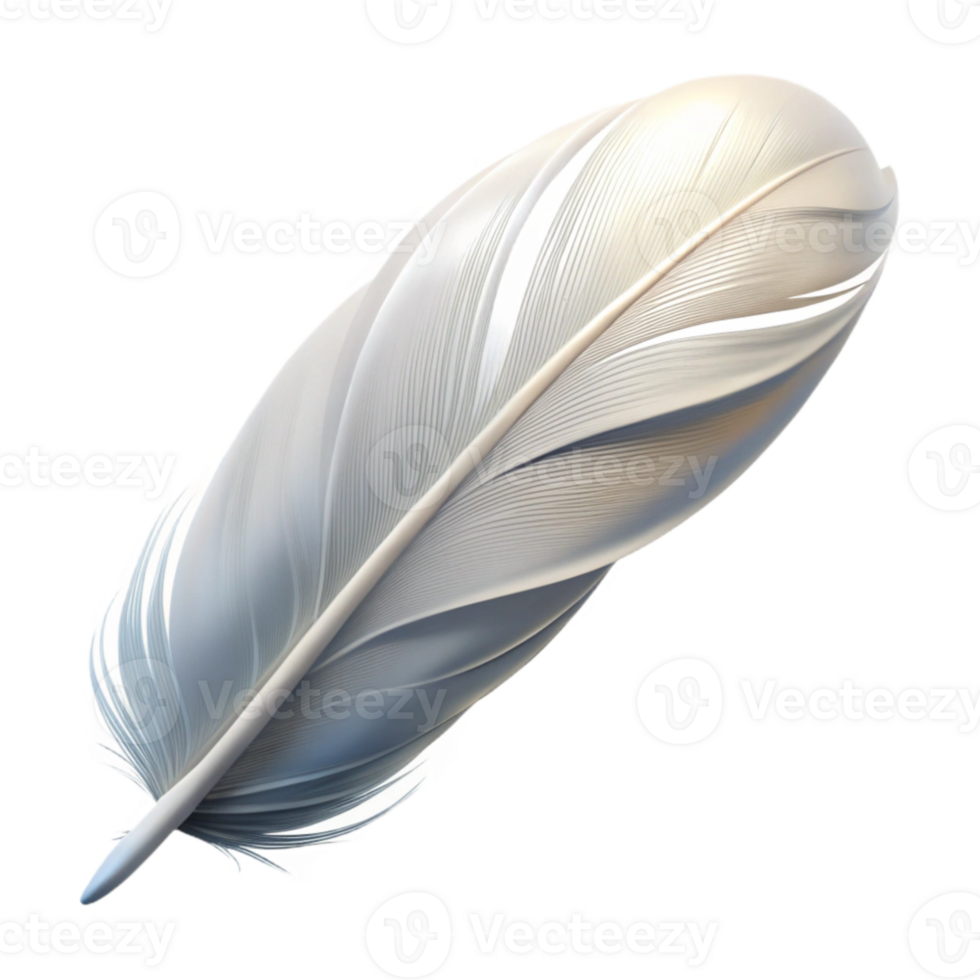 elegant classic White Feather Floating Gently Cutout Transparent Background detailed png
