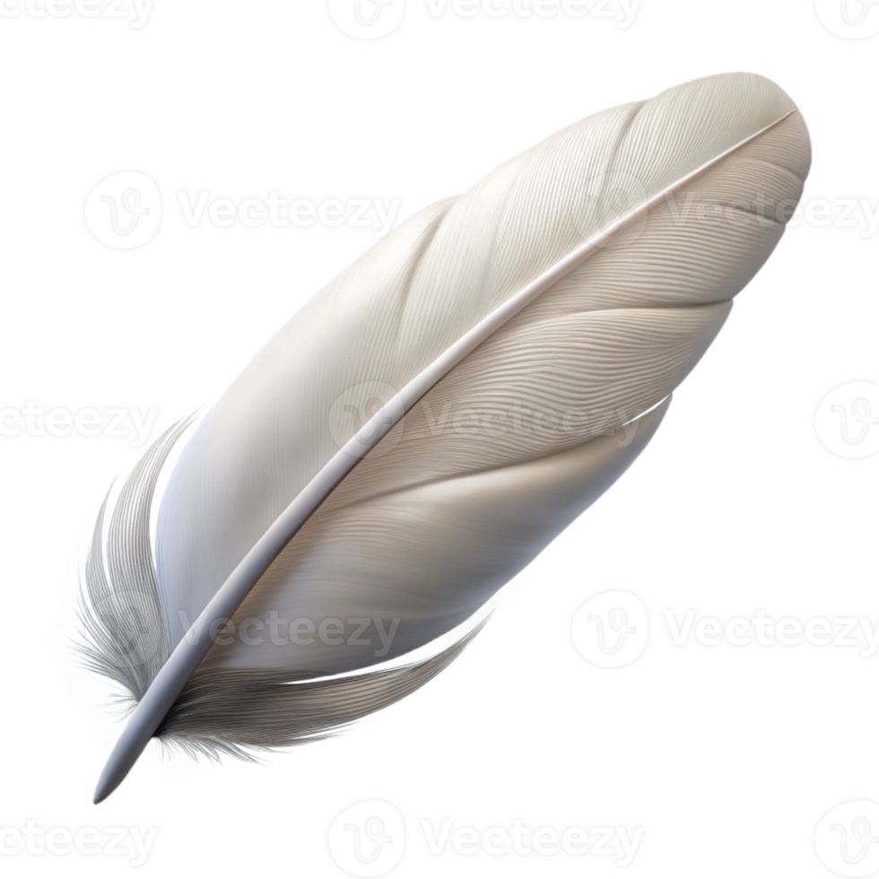 wonderful creative White Feather Floating Cutout Isolated professional png