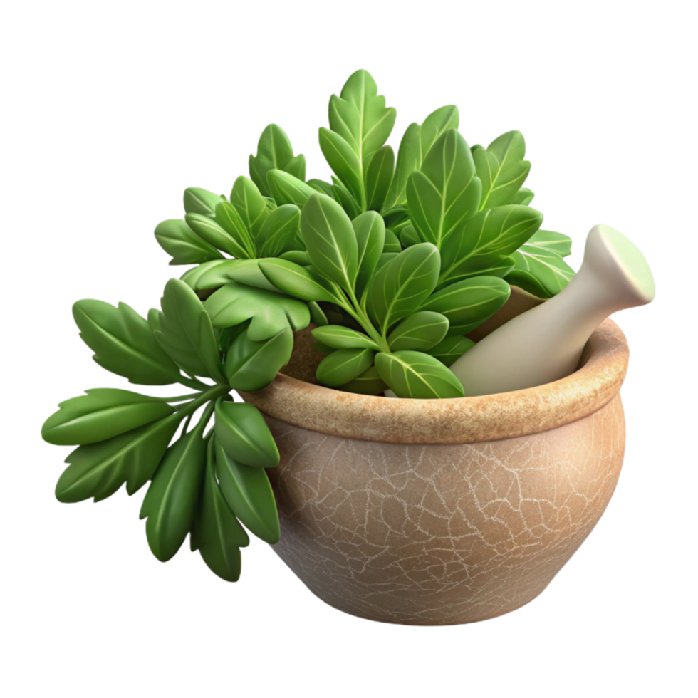 wonderful modern Freshly Harvested Herbs Transparent Background high resolution png