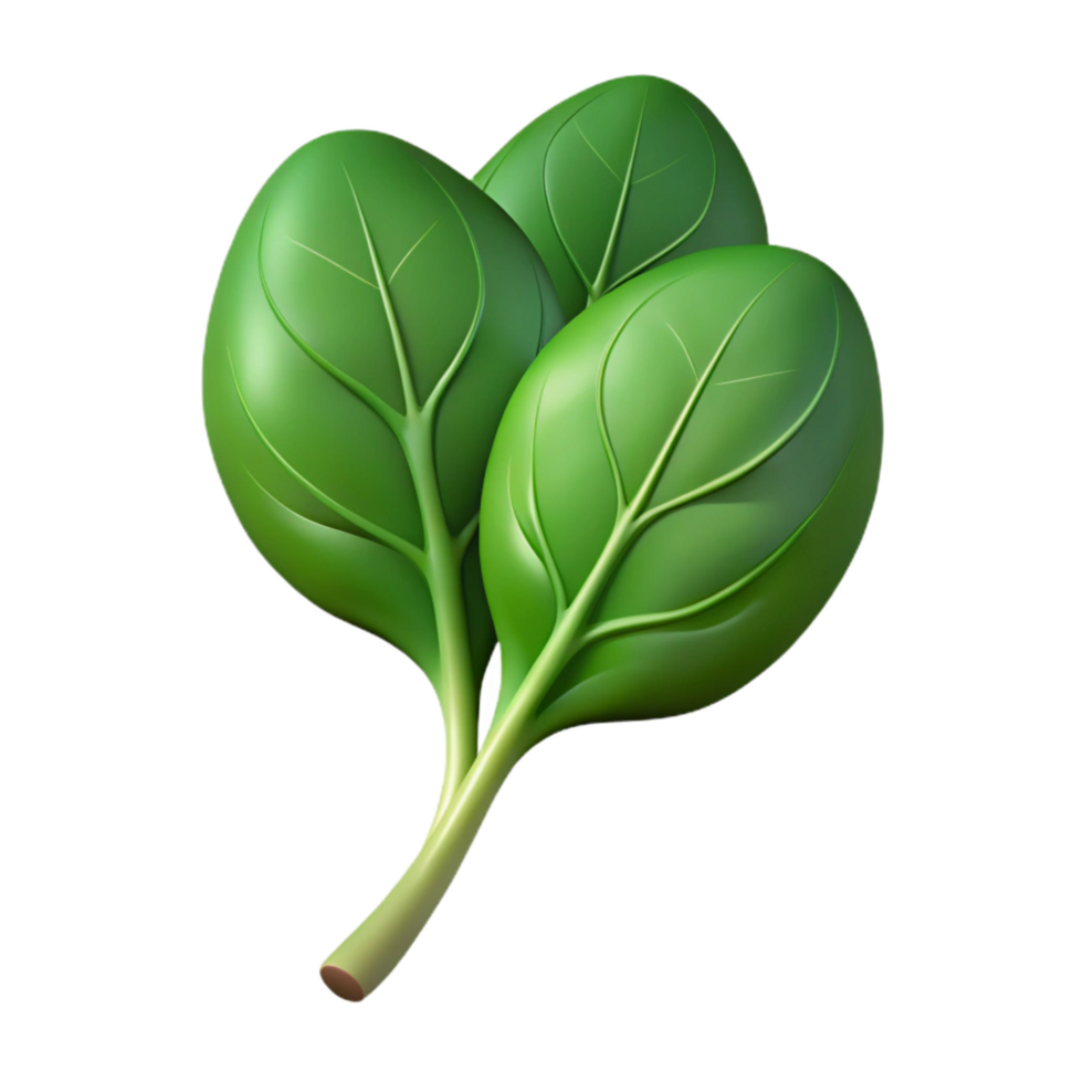 elegant artistic Fresh Spinach Isolated Cutout Dark Green original png