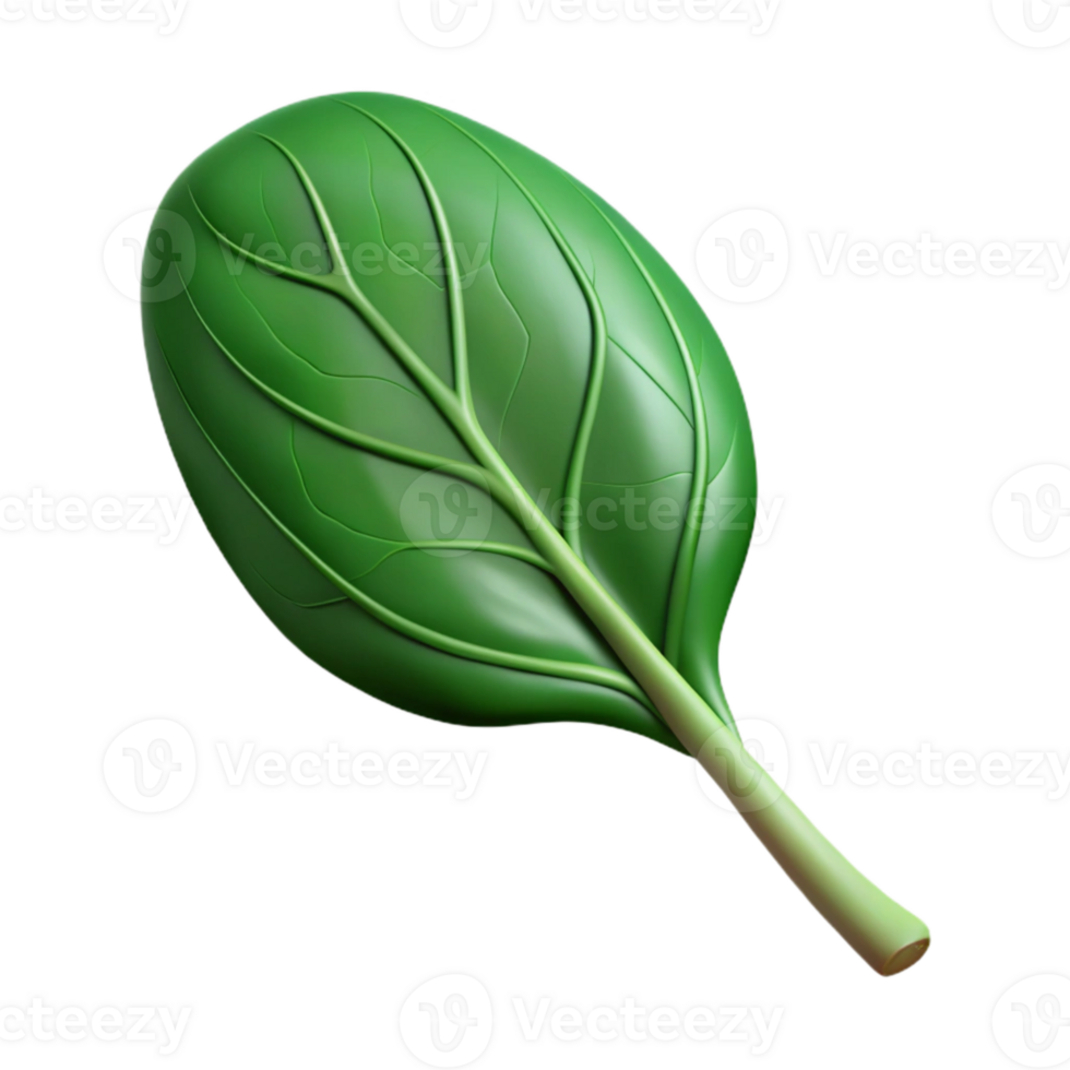 magnificent artistic Fresh Spinach Isolated Cutout Dark Green high resolution png
