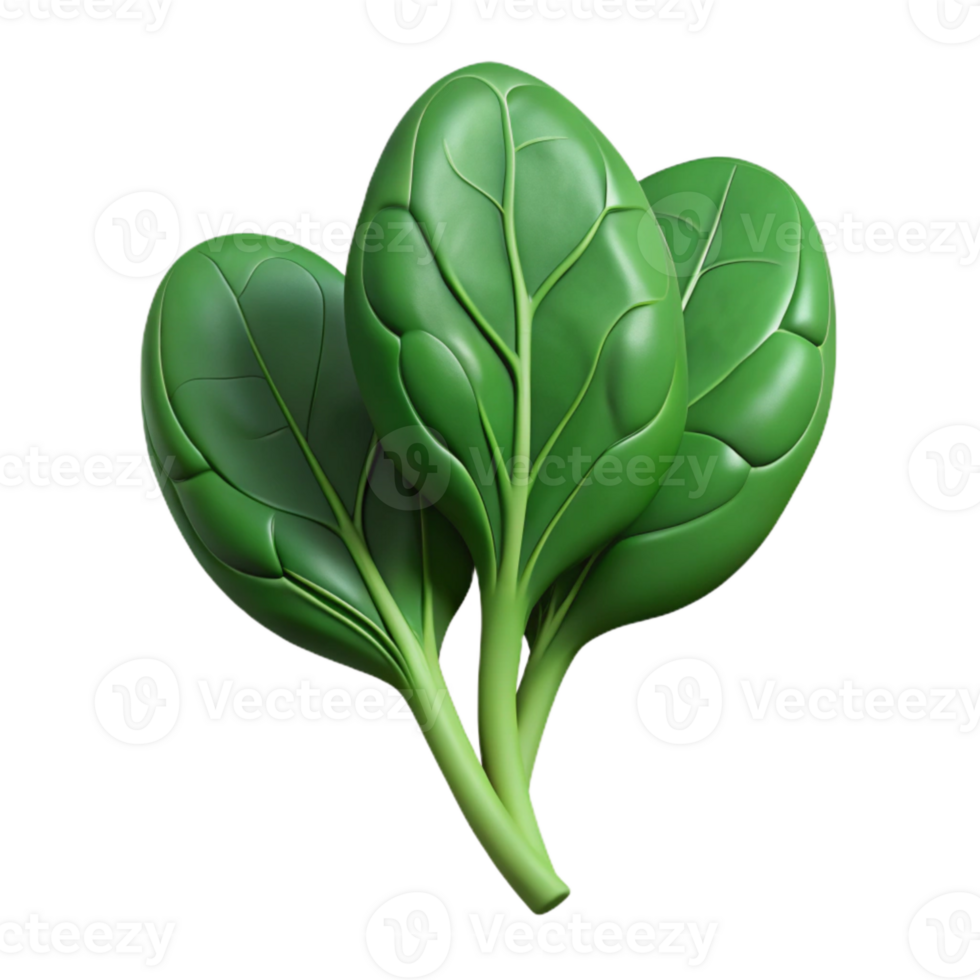 serene minimalist Fresh Spinach Isolated Cutout Dark Green high quality png