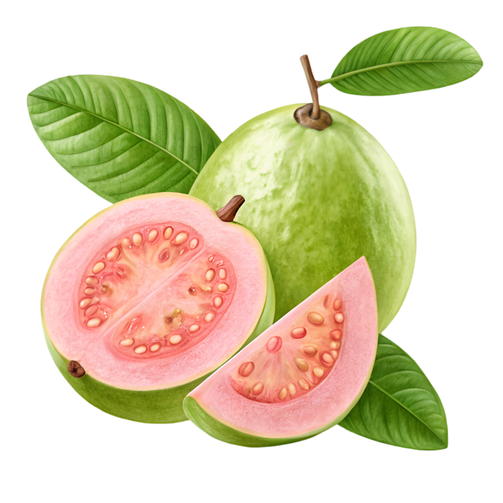 Fresh Guava Fruit, Sliced Pink Pulp, Green Leaves png