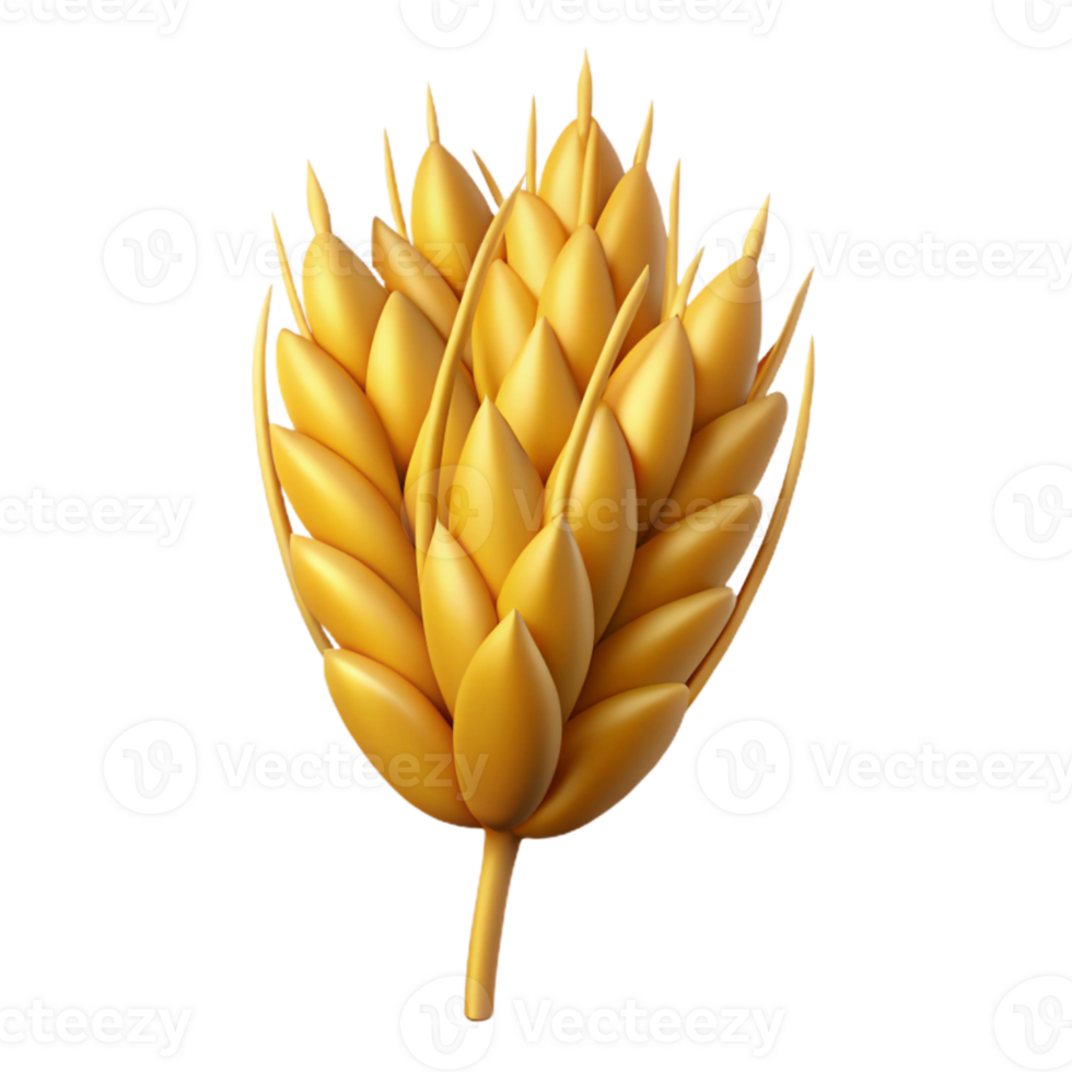 magnificent classic Golden Wheat Field Close Up Isolated png