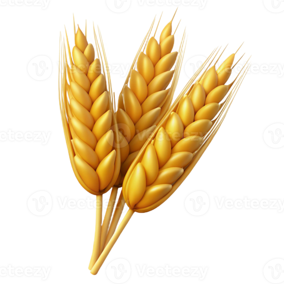 wonderful minimalist Golden Wheat Stalks Close Up Transparent Background high quality png