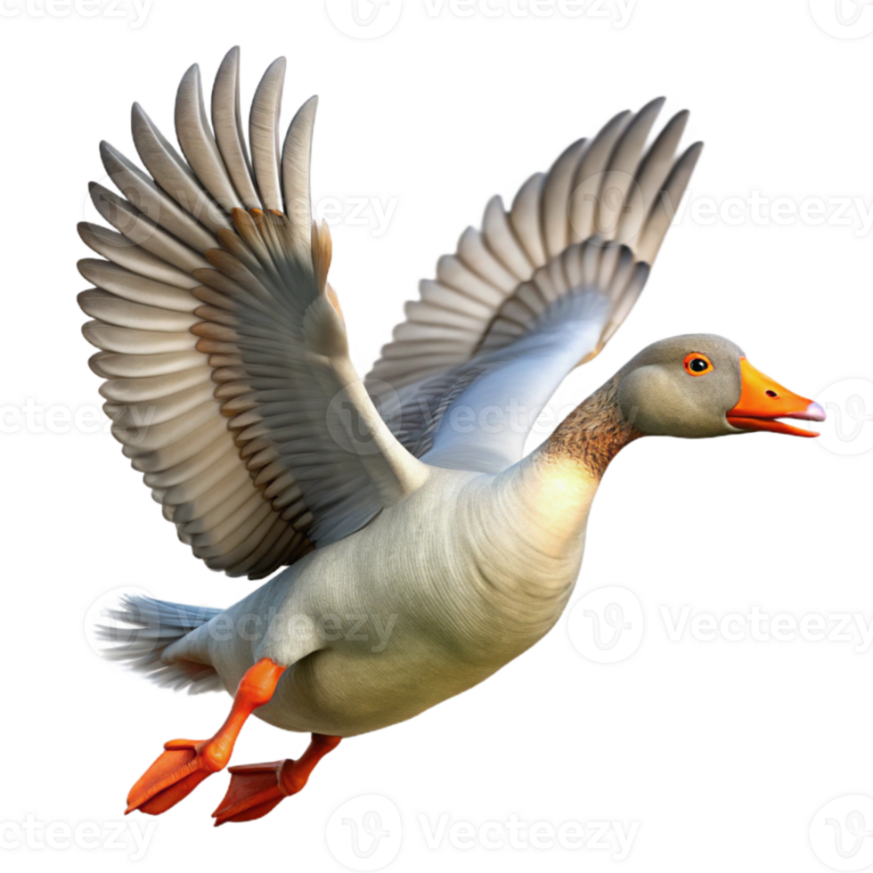 elegant classic Goose in Flight Transparent Background professional png