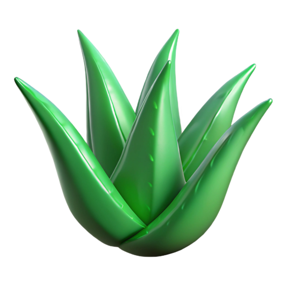 dramatic rustic Green Aloe Vera Leaf Cutout Transparent Background high resolution png
